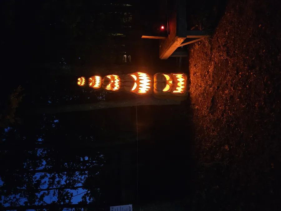Yaphank Trail of Terror scene