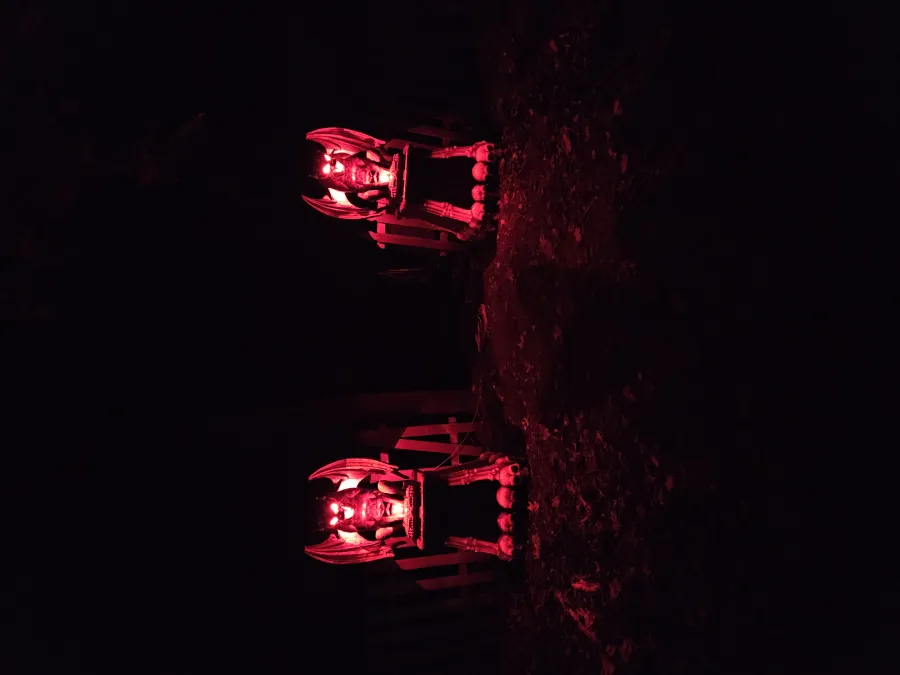 Yaphank Trail of Terror scene